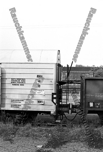 Fotoabzug 10x15 ceh - pe-fotoabzug,