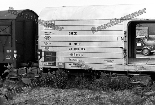 Fotoabzug 10x15 ceh - 10x15,